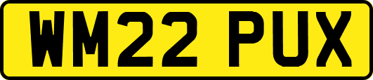 WM22PUX