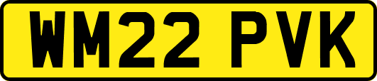 WM22PVK