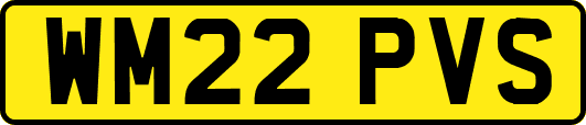 WM22PVS