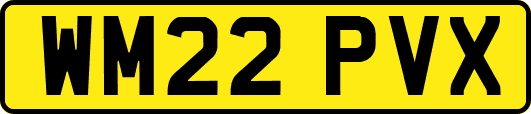 WM22PVX