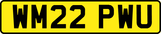 WM22PWU