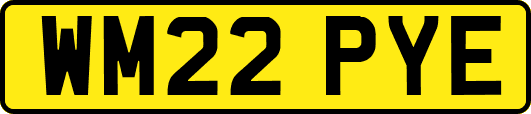 WM22PYE
