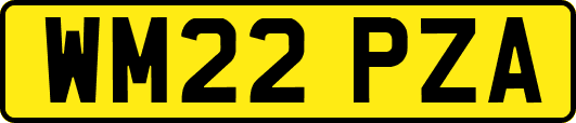WM22PZA