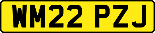 WM22PZJ