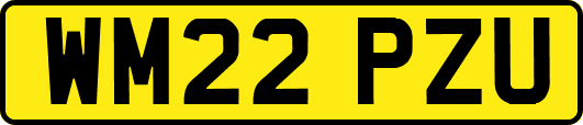 WM22PZU