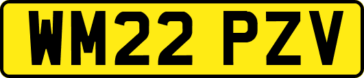 WM22PZV