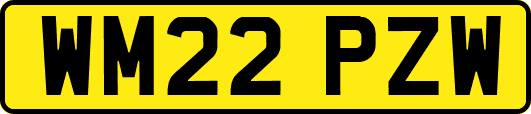 WM22PZW