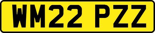 WM22PZZ