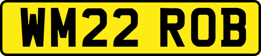 WM22ROB
