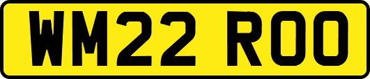 WM22ROO