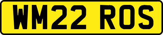 WM22ROS