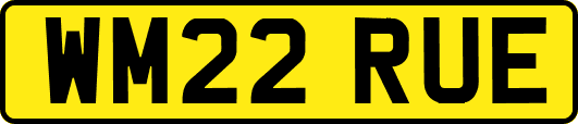 WM22RUE