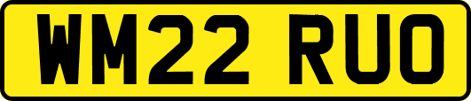 WM22RUO