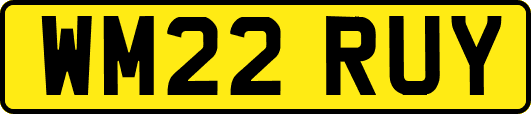 WM22RUY