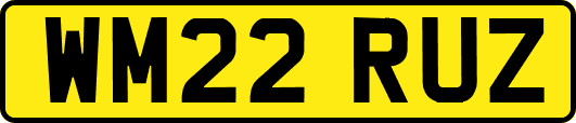 WM22RUZ