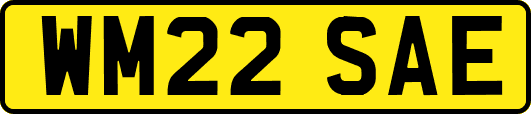 WM22SAE