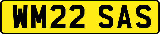 WM22SAS