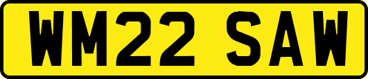 WM22SAW