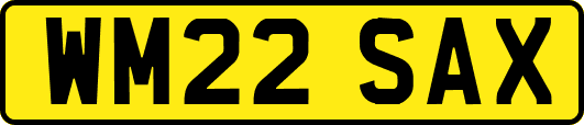 WM22SAX