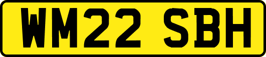 WM22SBH