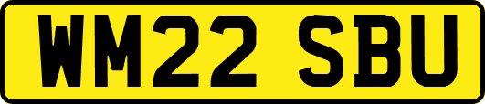 WM22SBU