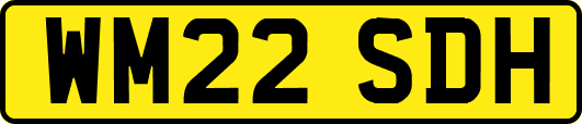 WM22SDH