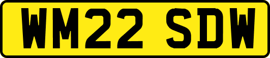 WM22SDW