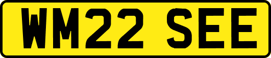 WM22SEE