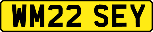 WM22SEY