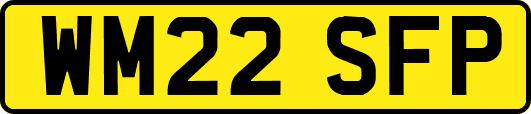 WM22SFP