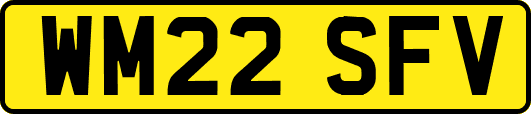 WM22SFV