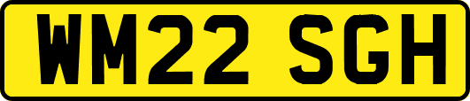 WM22SGH