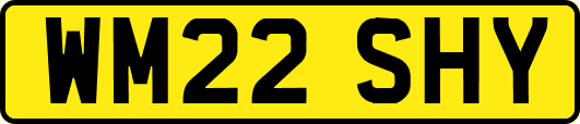 WM22SHY