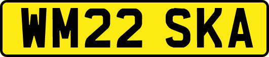 WM22SKA