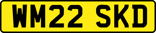 WM22SKD
