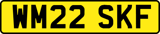 WM22SKF