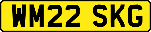 WM22SKG