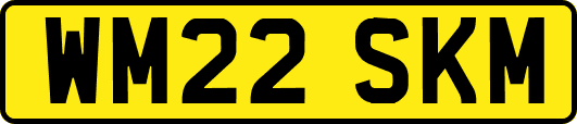 WM22SKM