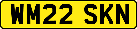WM22SKN