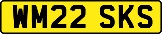 WM22SKS