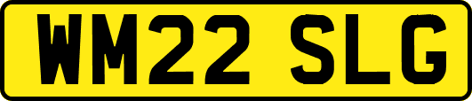 WM22SLG