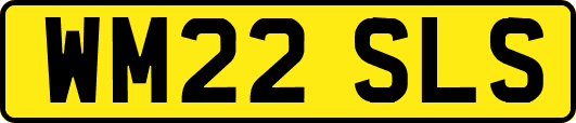 WM22SLS