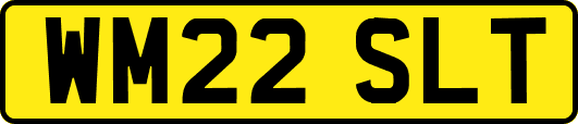 WM22SLT