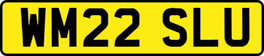 WM22SLU