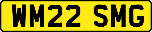WM22SMG