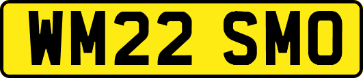WM22SMO