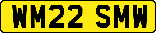 WM22SMW