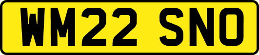 WM22SNO
