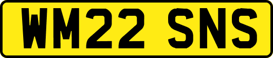WM22SNS