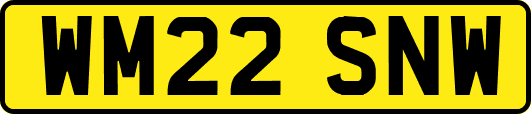 WM22SNW